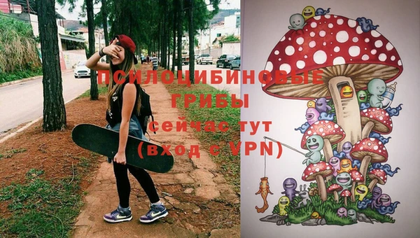 МДПВ Алзамай