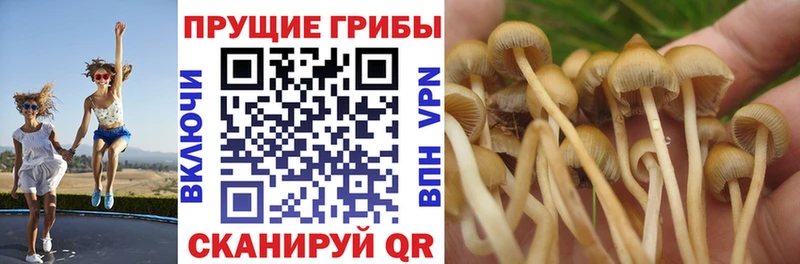 Псилоцибиновые грибы MAGIC MUSHROOMS  Невельск 